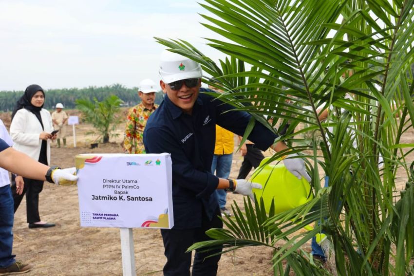 PTPN IV PlamCo Targetkan 2,1 Juta Bibit Sawit Unggul, Bisa Diserap Petani Akhir 2024