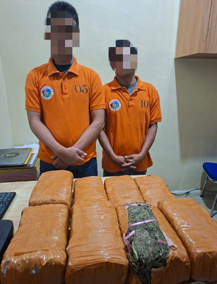 2 Bandar Ganja Diringkus Barbut 13 Kg