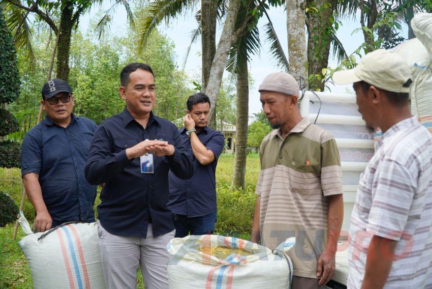 GKP Produksi Petani Padi di 3 Kabupaten Bakal Dibeli BULOG