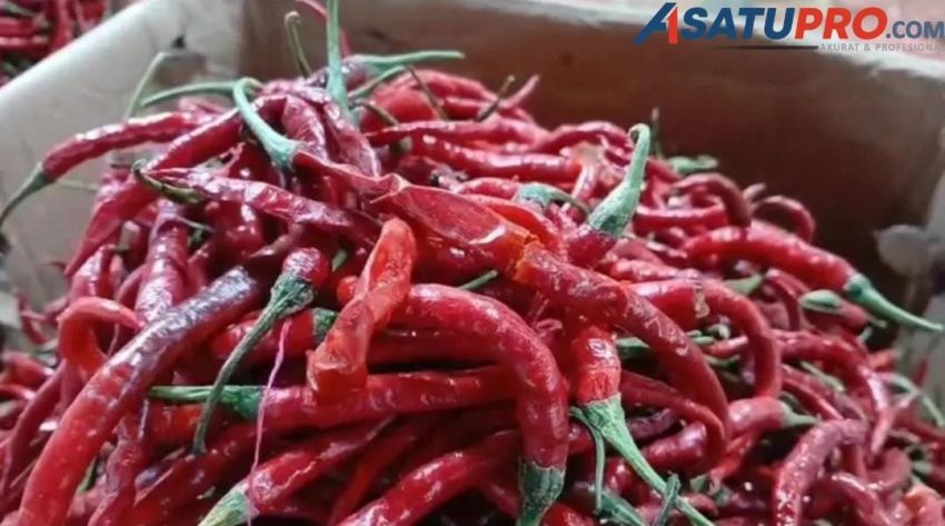 Inflasi Sumut di Atas Kertas: Harga di Pasar Tetap Terbakar Ketika Data Stabil