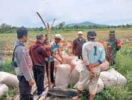 Pimwil BULOG Sumut Apresiasi Babinsa, Bhabinkamtibmas, dan PPL Terkait Ketahanan Pangan