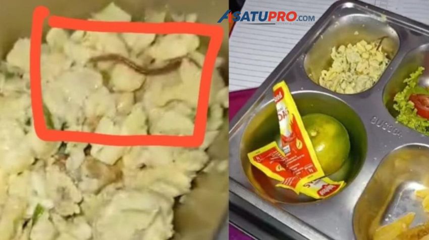 Hasil Pengecekan Makanan MBG di SMAN 6 Medan, Kepala BGN Sumut: Itu Cacing Tanah