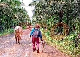 Berkat Program SISKA, BRIN Raih Pengakuan FAO 80