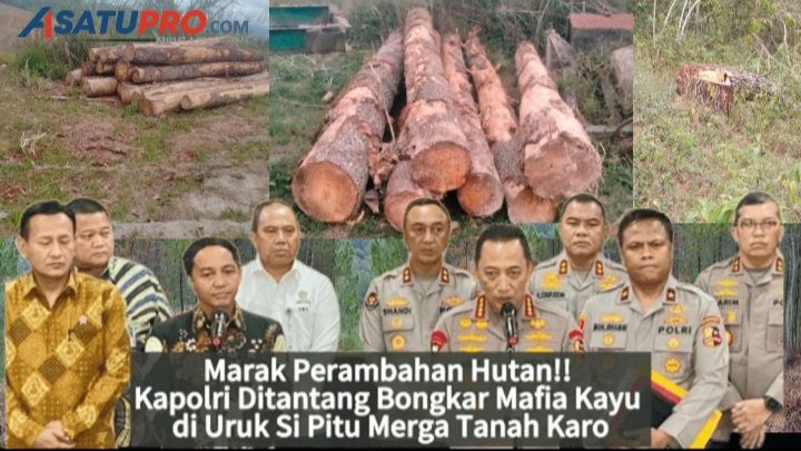 Kapolri Diminta Tangkap Mafia Perambah Hutan Lindung Uruk Si Pitu Merga