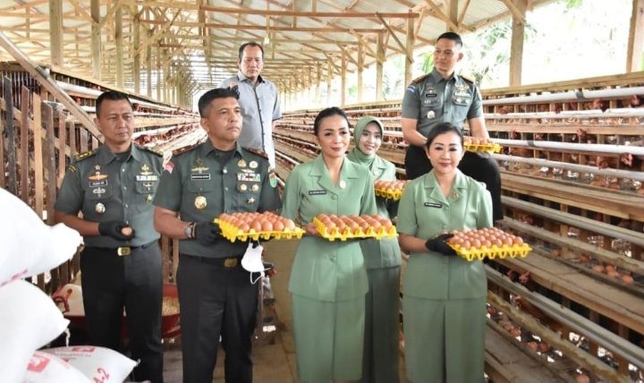 Danrem 031/WB Sidak Kandang Ayam, Kolam Ikan, Pertanian di Yonif 132/Bima Sakti dan Kodim 0313/Kampar