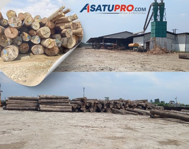 Masih Suasa Bencana, Diduga Banyak Tumpukan Gelondongan Kayu di PT. Tanjung Timberindo Industry