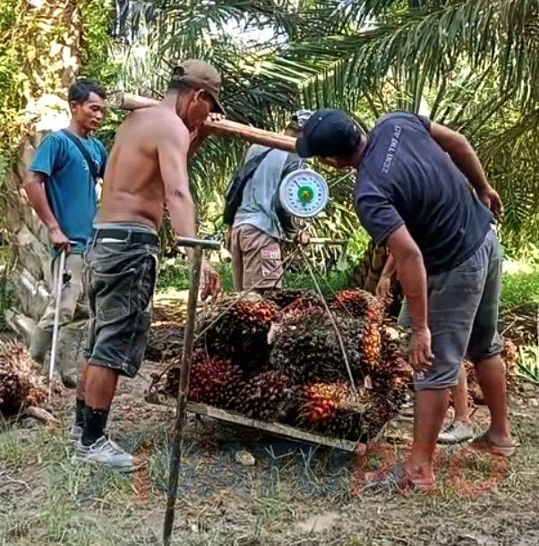 Tanggung Jawab Serikat Pekerja terhadap Kelangsungan Perusahaan