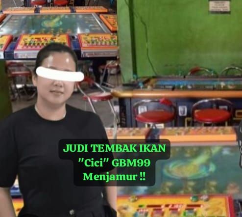 Judi Tembak Ikan Cici GBM99 'Dipelihara' Menjamur di Belawan, Warga Resah &ndash; Aparat Dinilai Tutup Mata