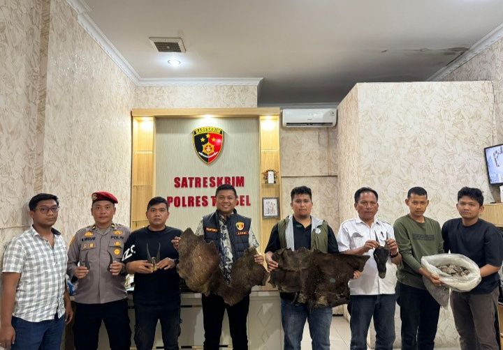 Perdagangan Ilegal Satwa Dilindungi Digagalkan di Sipirok, Polisi Amankan Sisik Trenggiling hingga Kulit Kijang