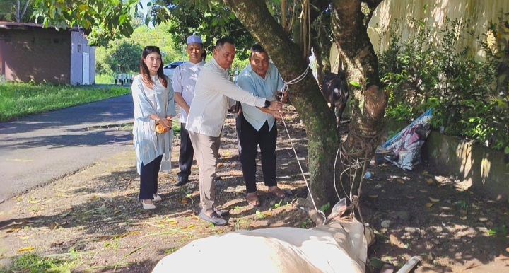 Hari Raya Idul Adha 1447 H, Polres Binjai Sembelih 7 Ekor Sapi dan 3 Ekor Kambing