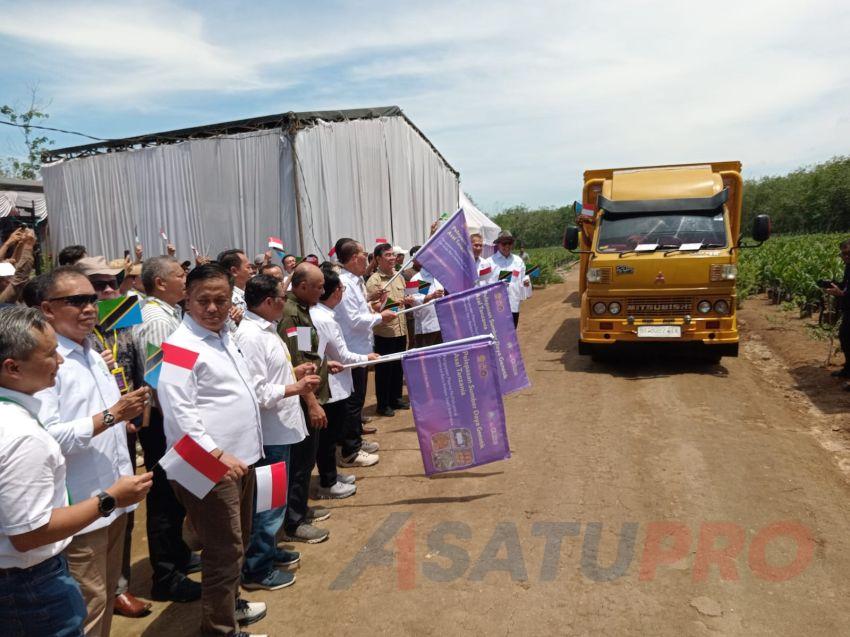 Didukung Kementan, GAPKI dan RPN Resmi Lepas SDG Sawit Asal Tanzania di Kebun Socfindo