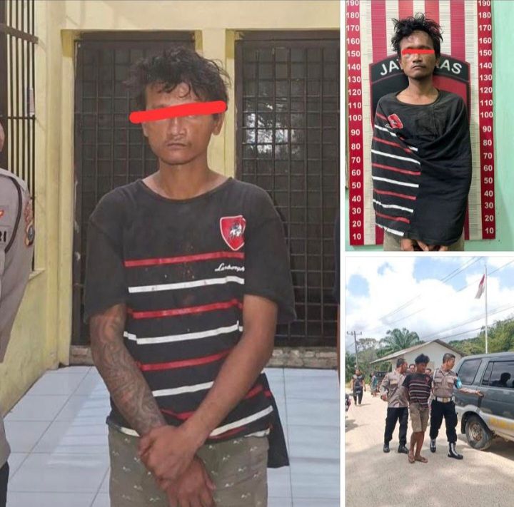Polres Tapteng Ungkap Kasus Pencabulan Anak Pelaku WS Ditangkap