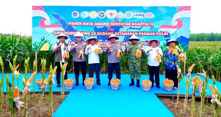 Panen Raya Jagung Spektakuler: Polda Sumut Wujudkan Ketahanan Pangan Bersama Presiden Prabowo