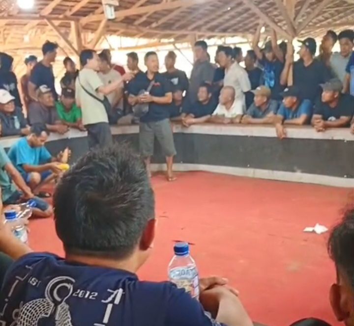 Arena Judi Sabung Ayam Merasa Kuat, Diduga Aparatur Penegak Hukum (APH) Terima Upeti Dari Pengelolah