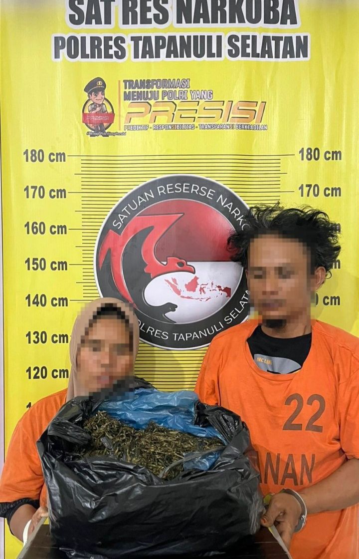 Satresnarkoba Polres Tapsel Gagalkan Peredaran 3 Kg Ganja, Dua Pelaku Ditangkap Gunakan Becak Motor