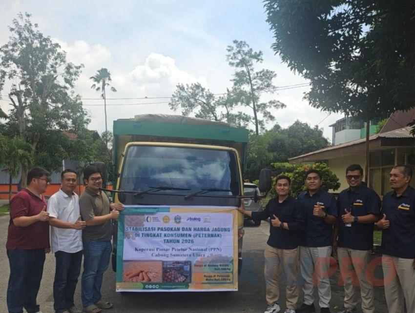 Pagu 1.116 Ton Jagung SPHP Disalurkan BULOG Sumut untuk Peternak Ayam Petelur