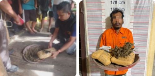Polsek Bahorok Gagalkan Peredaran 2 Kilogram Ganja di Bukit Lawang, Seorang Pria Diamankan