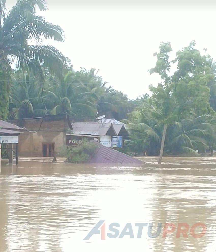 Menunggu Harapan dari Tepian Muara Batang Toru