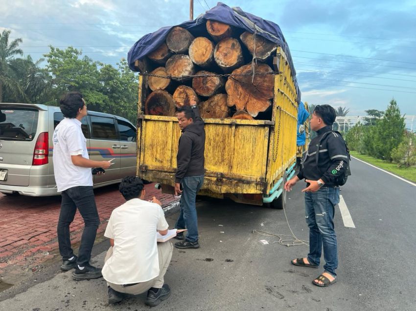 Satgas Intelstrat BAIS TNI, Denintel Kodam I/BB Tangkap Dua Truk Bermuatan Kayu Gelondongan Ilegal di Dairi