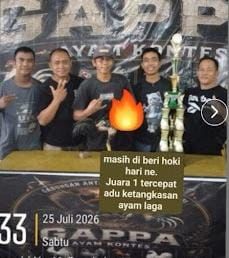 Menguak Manipulasi Berkedok Kontes: Bukti Digital Sabung Ayam Medan Johor Telanjangi Kelemahan Inspeksi Aparat