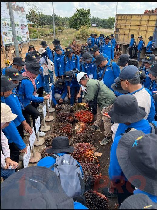 Didukung BPDP dan Ditjenbun, IPB Training Tingkatkan SDM 118 Petani Sawit Empat Lawang