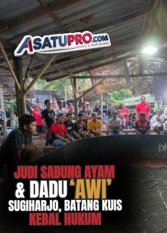 Polresta Deli Serdang Bungkam, Ada Apa di Balik Beroperasinya Arena Bos Judi Sabung Ayam & Dadu 'AWI' Batang Kuis?