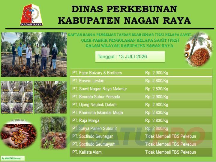 Harga TBS di Nagan Raya Menguat, Kinerja Bupati Dipuji