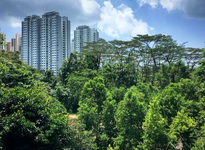 BMKG Prakirakan Medan Diguyur Hujan Ringan pada Kamis 16 Juli 2026