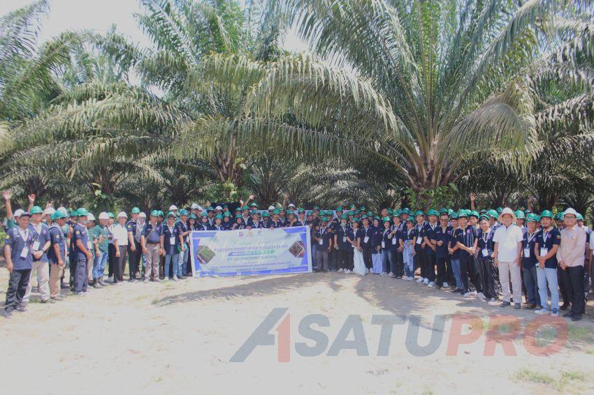 Seratusan Petani Sawit Morowali Utara Dibekali BPDP, Ditjenbun, dan PT CWE