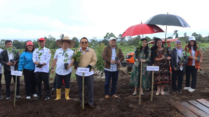 NT Corps Tanam 118 Hektare Kopi Arabika di Parbuluan, Ekonomi Dairi Siap Naik Kelas