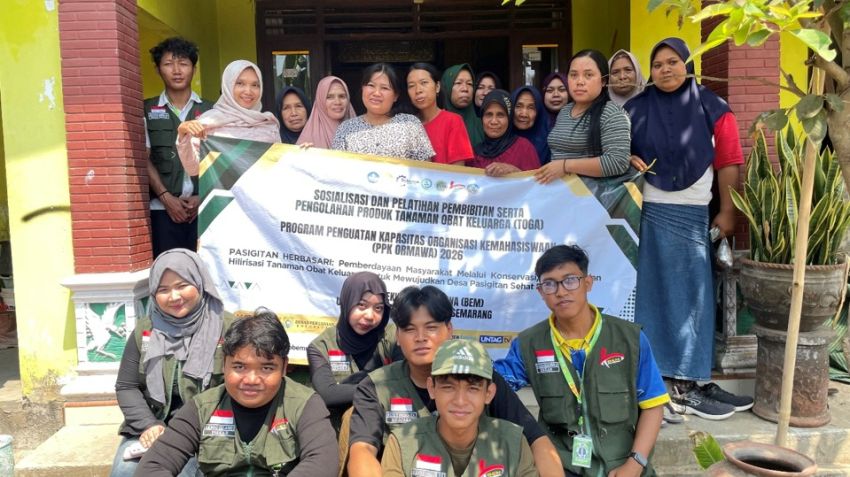 Bina Kemandirian Desa, Tim PPK Ormawa BEM Untag Semarang Latih Kader PKK dan Posyandu Olah TOGA Menjadi Produk Herbal