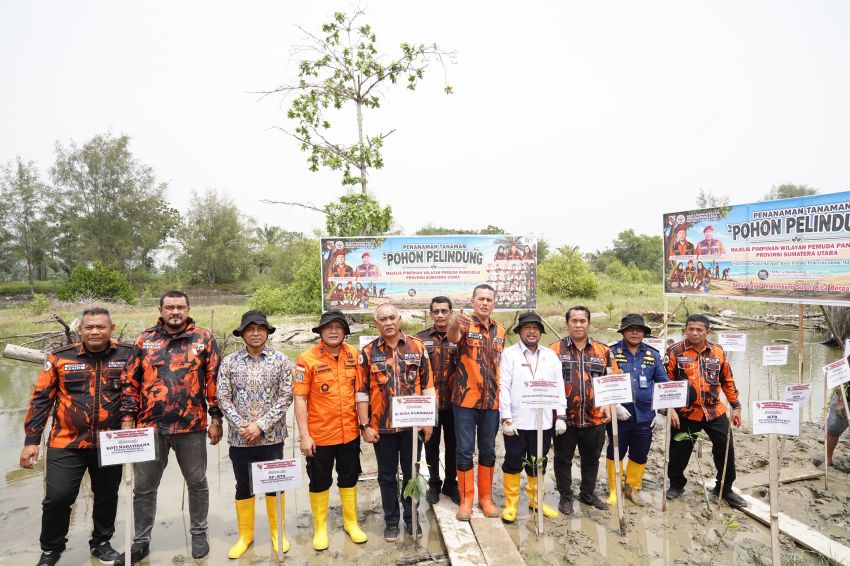 Pemuda Pancasila Sumut Tanam 2.000 Pohon, Ijeck Dorong Gerakan Peduli Lingkungan hingga Desa