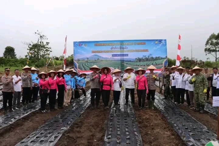 Dukung Swasembada Bawang Putih Nasional, Dairi Tanam Serentak Bersama Polri