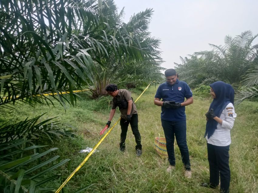 Sesuai laporan masyarakat Polsek Gunung Malela dan Tim Inafis tangani Temuan Wanita Meninggal di Perkebunan PTPN IV