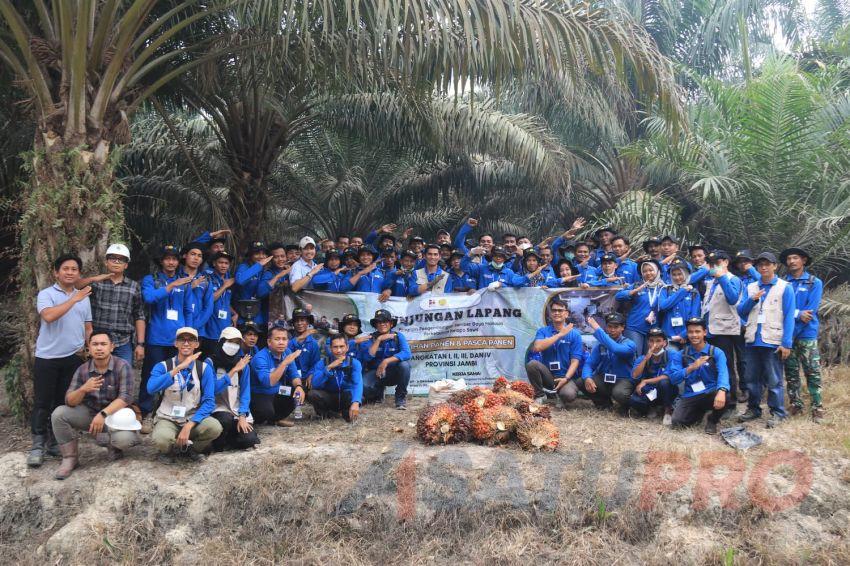 SDM Seratusan Petani Sawit Jambi Diperkuat BPDP,  Ditjen  Perkebunan, dan IPB Training