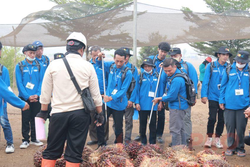 Teori Dapat, Praktik Oke! Bahagianya Petani Sawit OKU Dapat Pelatihan Program BPDP, Ditjenbun, dan IPB Training