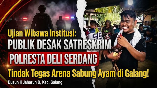 Polemik Arena Diduga sabung ayam di Galang Memanas, Publik Tantang Ketegasan Satreskrim Polresta Deli Serdang